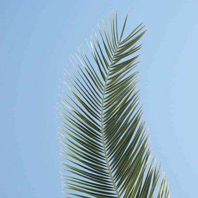 am8亚美ag旗舰厅官网下载手机版